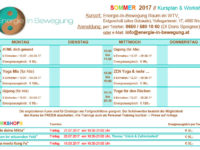 SOMMER-Kurs und Workshopplan ONLINE