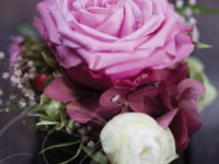 ONLINE Kurse vom 28.12.2020 bis 06.01.2021